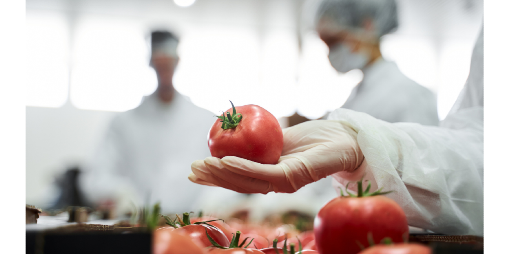 Sesc Comunidade promove curso gratuito de atualização em boas práticas na manipulação de alimentos