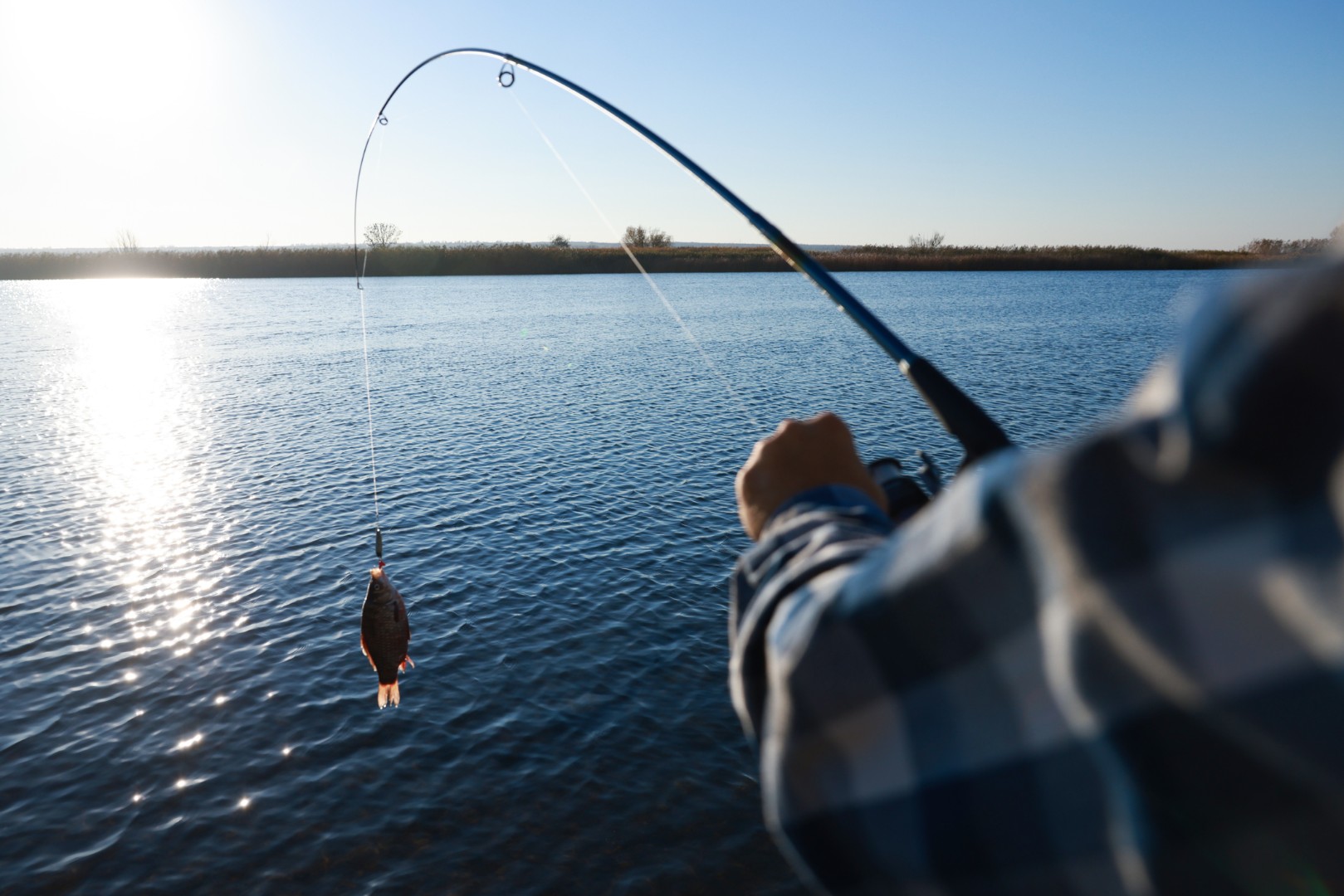 A imagem mostra um pescador de frente para uma lagoa, puxando um peixe em sua vara de pesca.